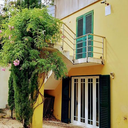 Casa Amarante Porto Βίλα Εξωτερικό φωτογραφία