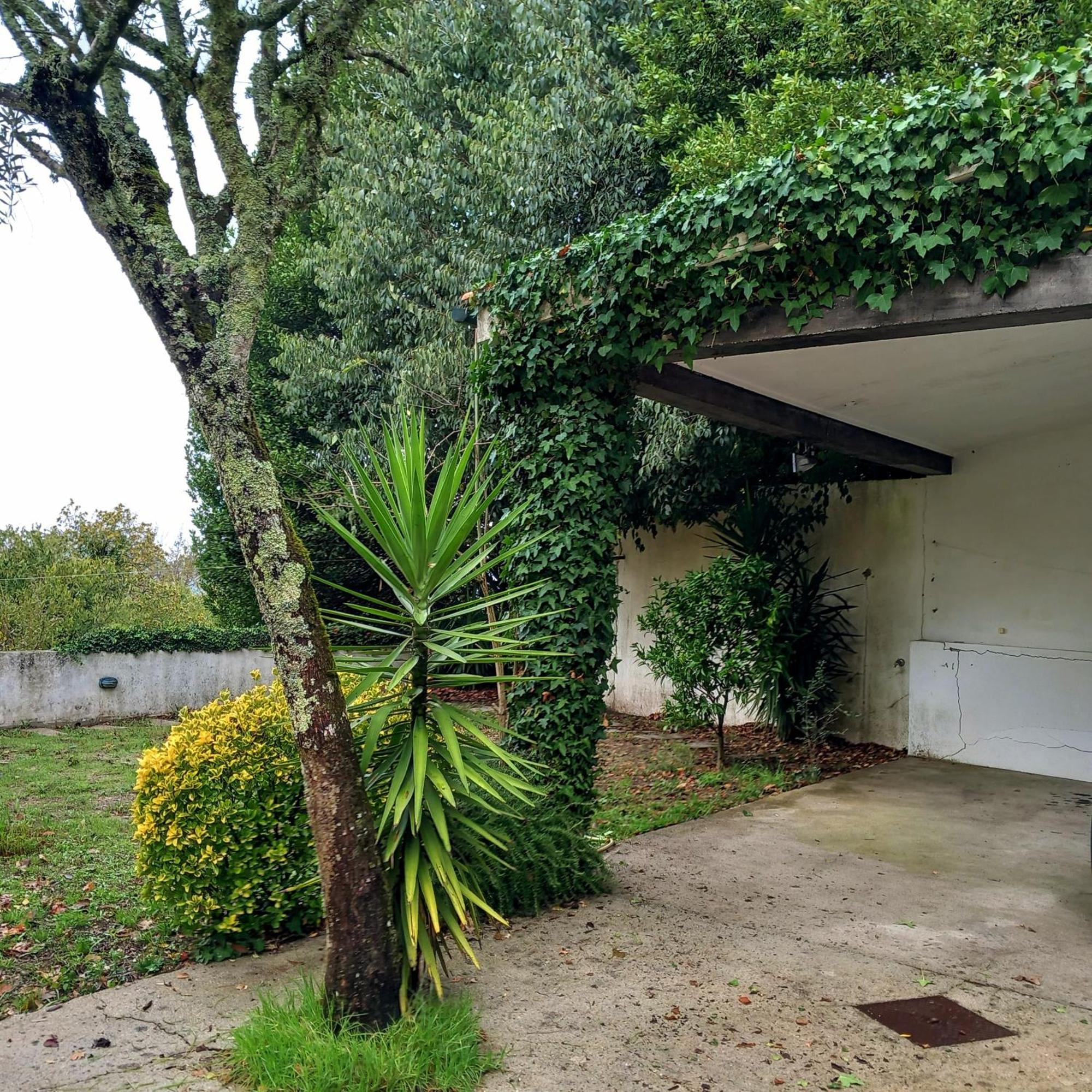 Casa Amarante Porto Βίλα Εξωτερικό φωτογραφία