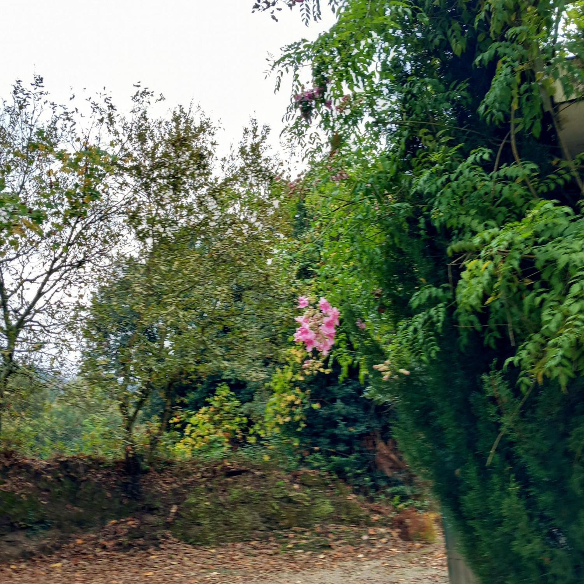 Casa Amarante Porto Βίλα Εξωτερικό φωτογραφία